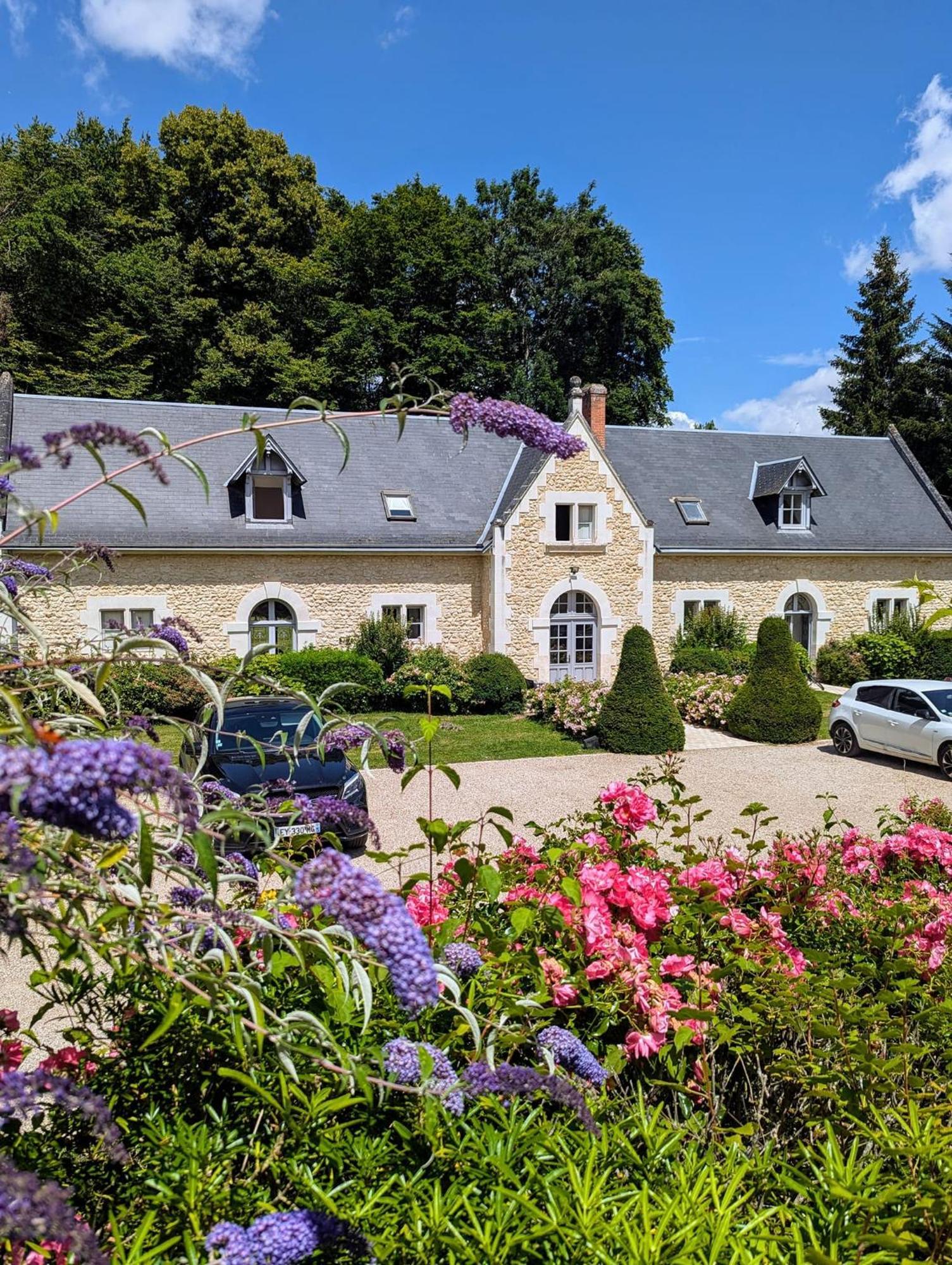 Château-Hôtel de la Ménaudiere Chissay-en-Touraine Eksteriør billede