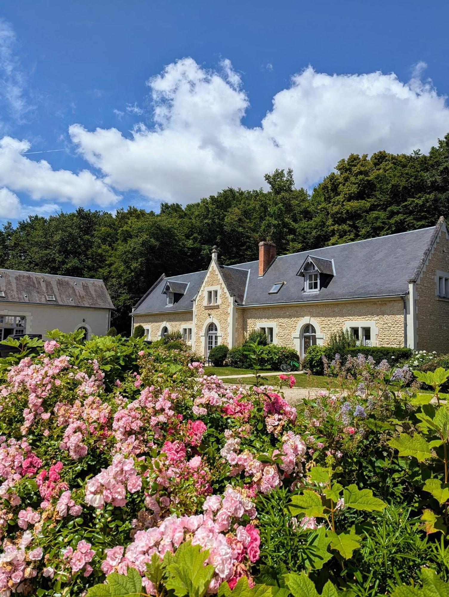 Château-Hôtel de la Ménaudiere Chissay-en-Touraine Eksteriør billede